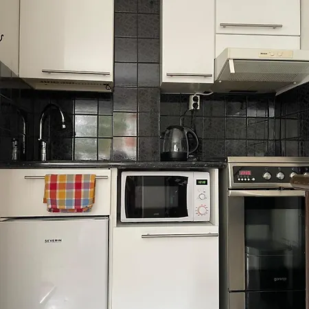 Cozy, Conveniently Located In A 1950's Wooden House