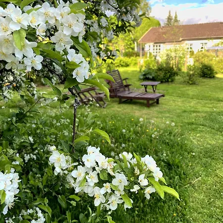 Cozy, Conveniently Located In A 1950's Wooden House Lejlighed Helsinki